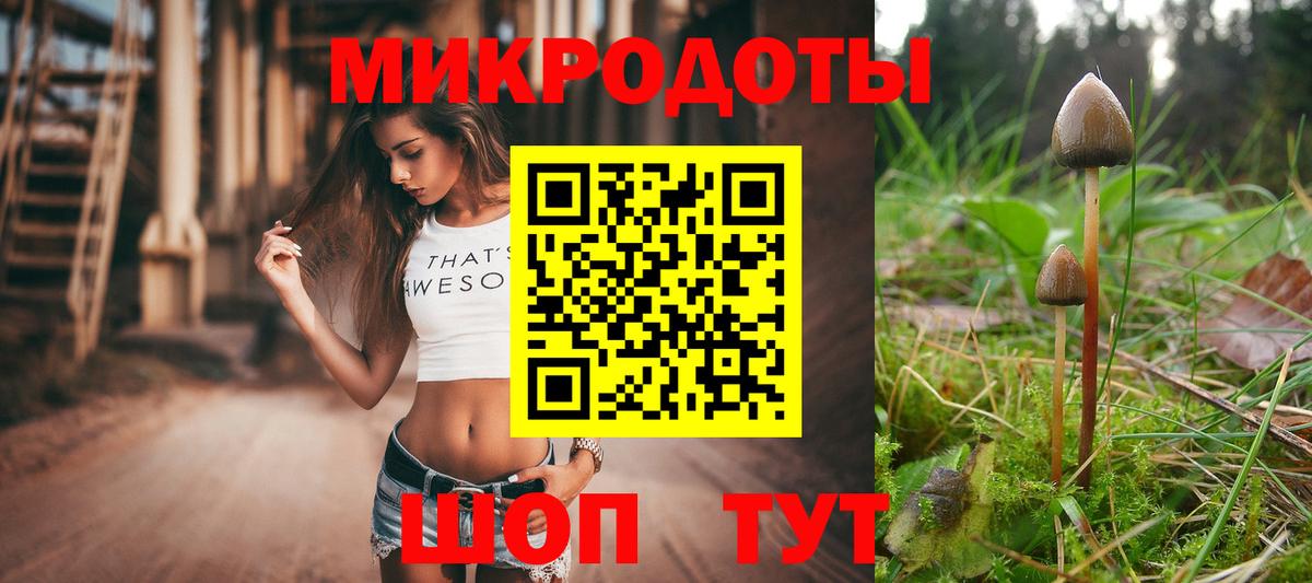 Ангарск  продажа наркотиков  Вход с VPN  Псилоцибиновые грибы Psilocybe 
